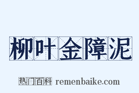 柳叶金障泥是什么意思的图片